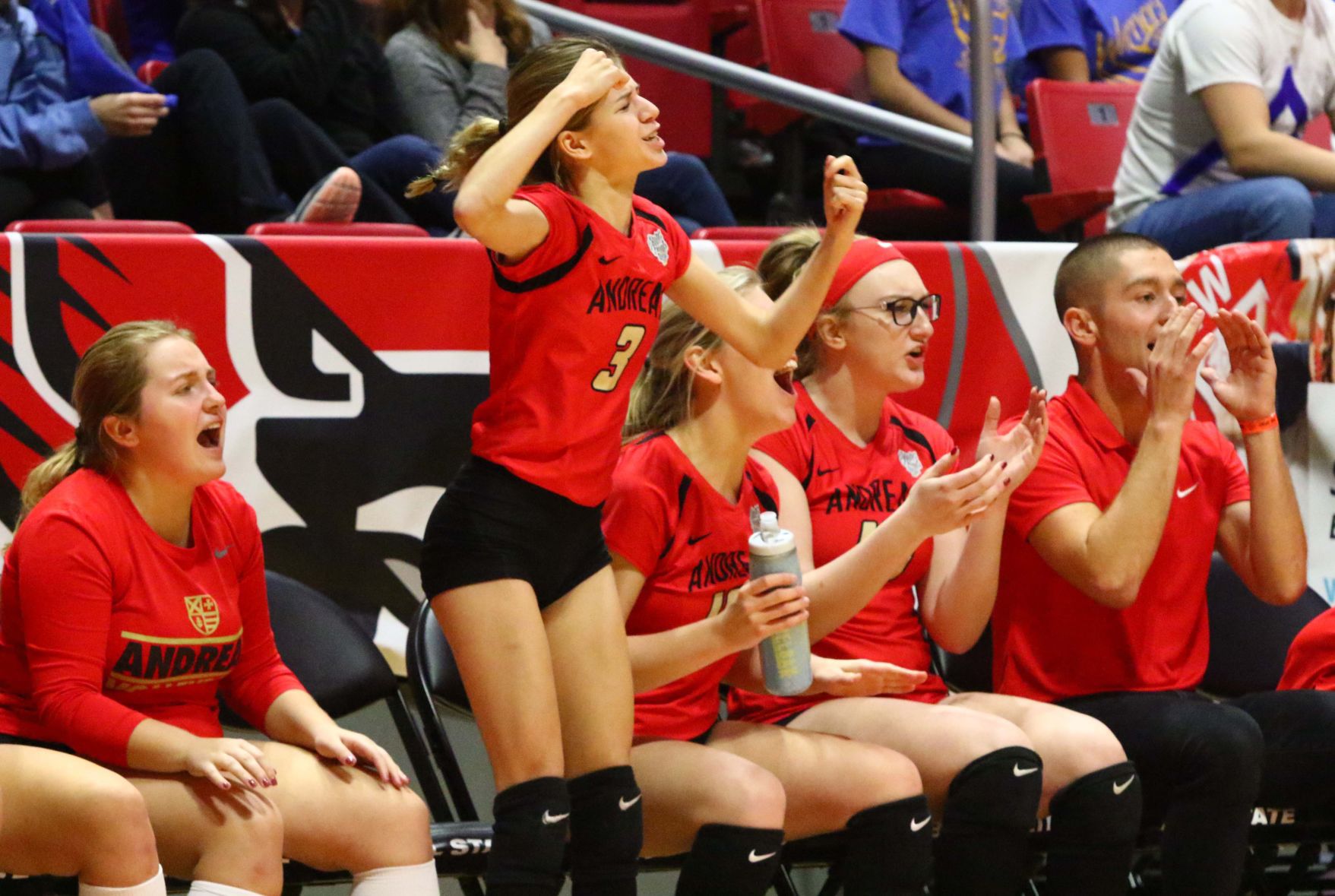 Gallery: Volleyball Class 2A State Finals - Andrean vs. Christian Academy of Indiana